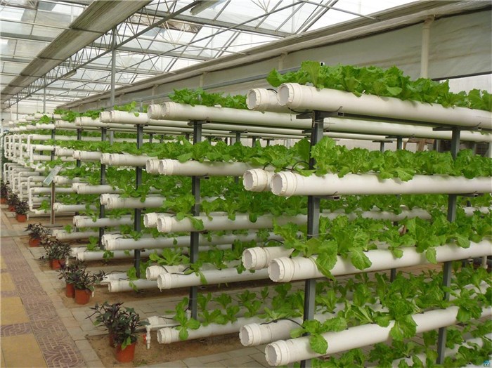 铁岭市鱼菜共生种植槽 - 推荐